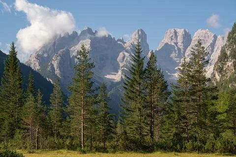 Sharp mountain peaks against the blue morning sky. Green firs in the foregr.. Stock Photos