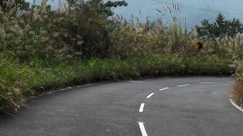 Sharp Mountain Road Curve Surrounded by Tall Grass Video stock 329841680