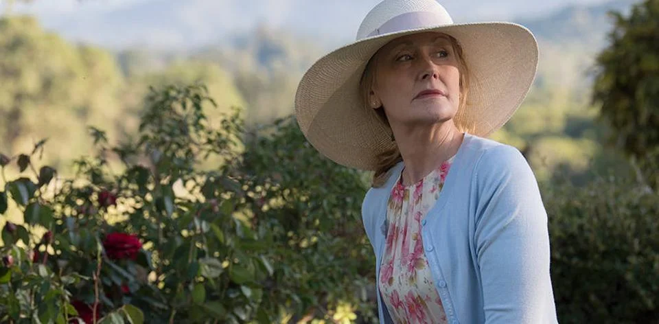  SHARP OBJECTS (2018) SHARP OBJECTS (2018) PATRICIA CLARKSON EDITORIAL USE... Stockfoto's