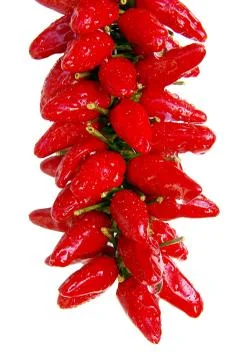 Sharp pepper Stock Photos