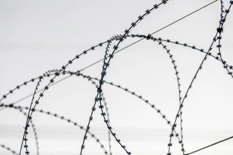 Sharp pointed razor wire barbed fence coiled on top of wall protects from Stock Photos