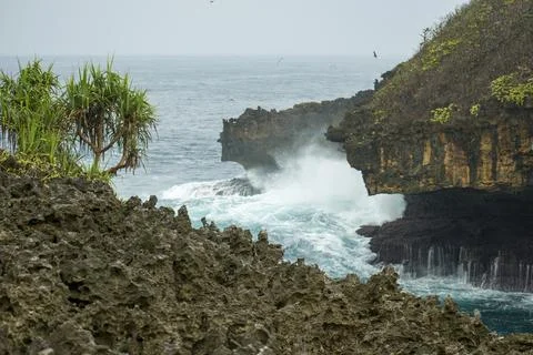 Sharp, porous coral rock structures on a wild coastal reef. Stock Photos