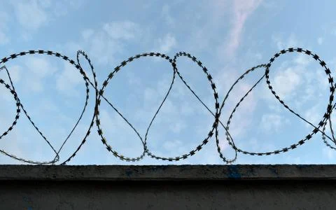 Sharp protective barbed wire with sharp prongs on the fence Foto stock