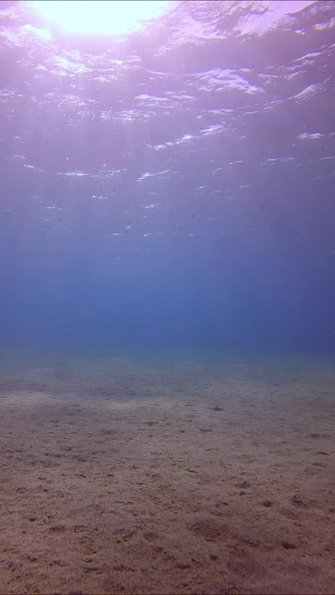 Sharp rays of sun penetrate surface of blue water and sun glare fall on sandy Stock Footage 255113751