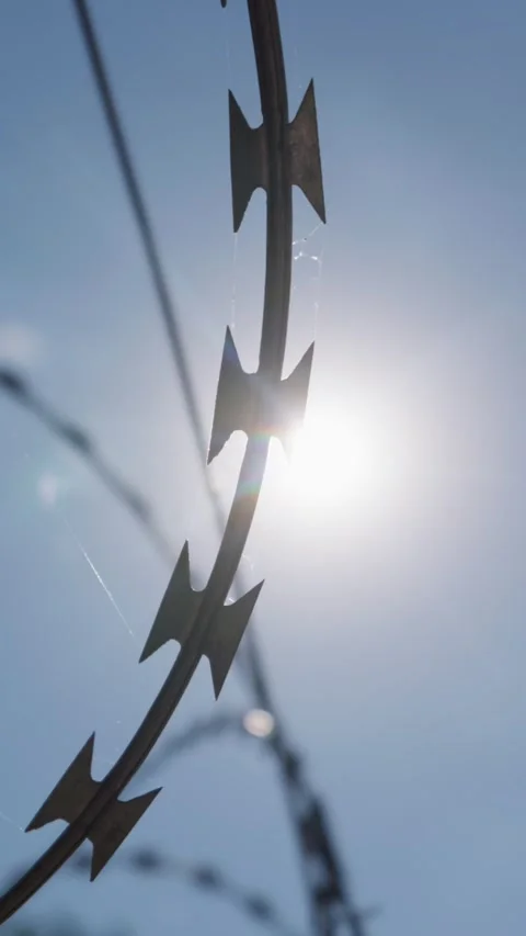 Sharp Razor Wire Coils Gleaming Against Bright Backlit Sunshine Vidéo 344772592