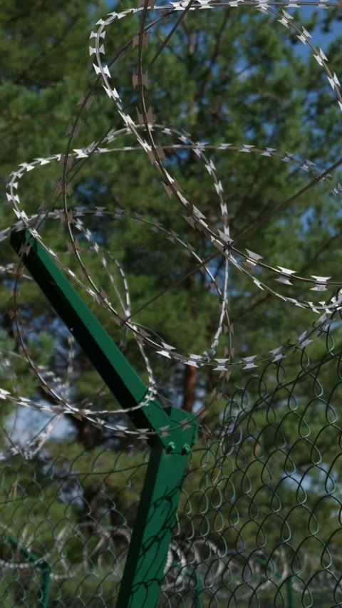 Sharp Razor Wire Coils Mounted on Chain Link Security Perimeter Fence Stock Footage 344772546