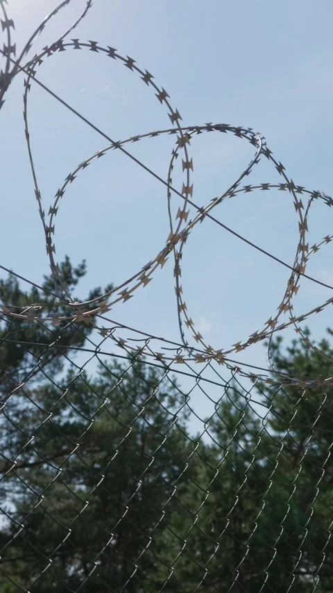 Sharp Razor Wire Mounted on Metal Chain Link Fence Under Blue Sky Stock Footage 344772528