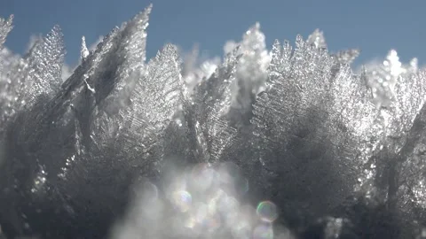 Sharp Rime Ice Crystals and Fragile Thin Hoar Frost in Sunny Winter Day Stock Footage 144034999
