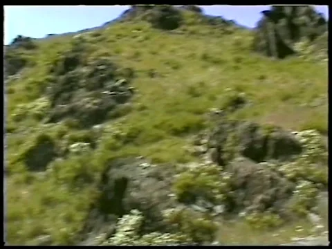 Sharp Rocks Stock Footage 336524291