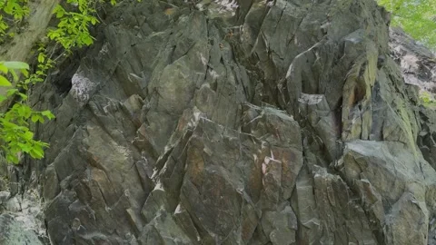 Sharp rocky cliff face surrounded by lush green trees Stock Footage 310837651