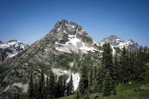 Sharp rocky mountain peak with snowfields rising above pine tree forest Stockfoto's