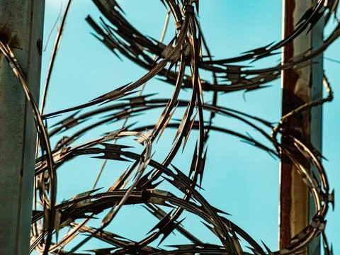Sharp rusty razor wire coils spiraling against clear blue sky, dangerous se.. Foto stock