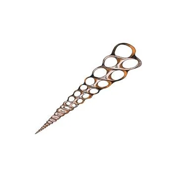 Sharp seashell with holes in hand drawn sketch style, vector illustration Stock Illustration