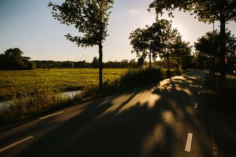 Sharp shadows on the sunny road next to a field Foto stock