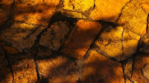 Sharp Stone Tree shadow autumn hd footage Stock Footage 95270568