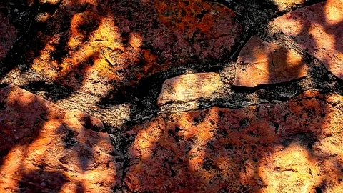 Sharp stone wall tree shadow hd footage nobody Stock Footage 110743106