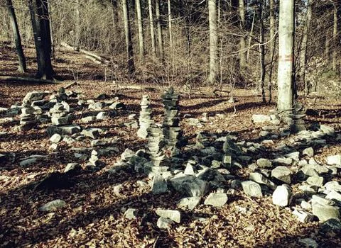 Sharp stones stacked in fall Forest . Autumn morning Stock Photos