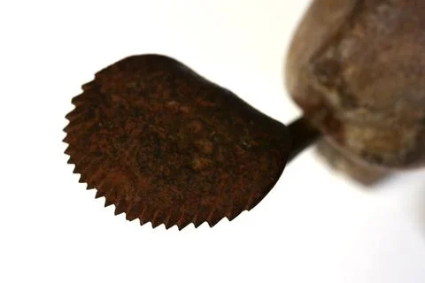 Sharp teeth of the old metal blade on coconut grater Stock Photos