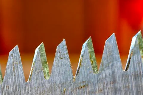 Sharp teeth Stock Photos