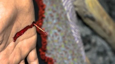 Sharp thorn dipped into a human hand and it's bleeding Stock Photos