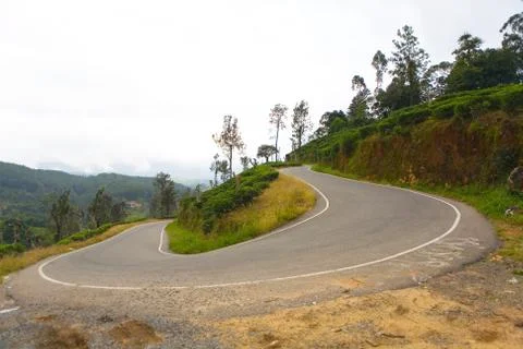 A sharp turn of an asphalt mountain road near tea plantations. Stock Photos