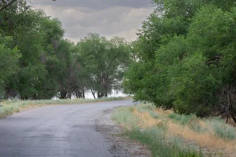 Sharp turn on country road, gray sky Stock Photos