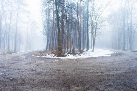 A sharp turn in a misty winter forest Stock-Fotos