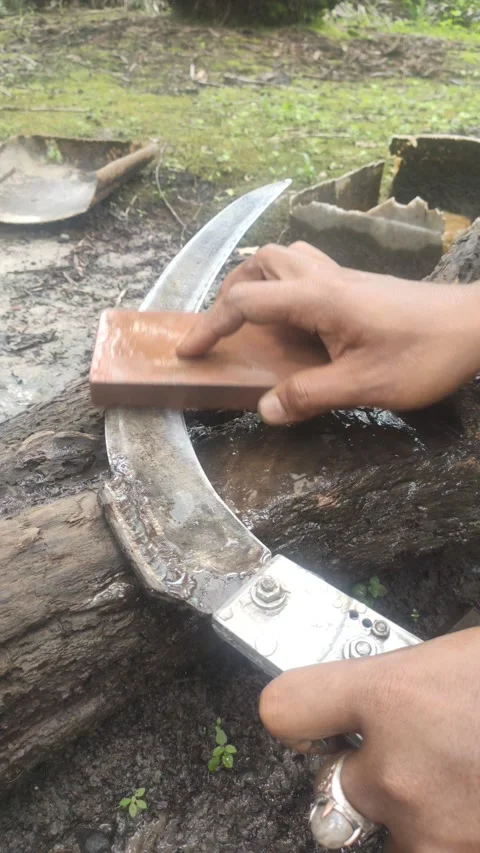 Sharpening Agrek Video stock 209868471