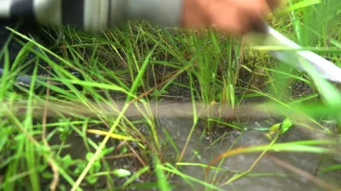 Sharpening knives manually Stock Footage 272964879