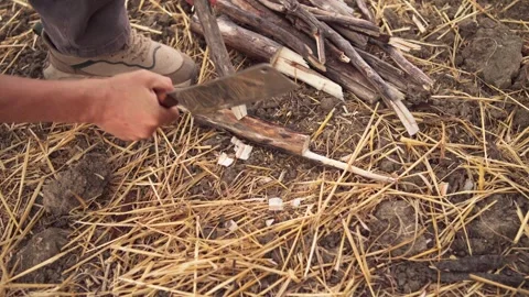 Sharpening Wooden Campfire Stake with Cleaver Knife Stock Footage 346708612