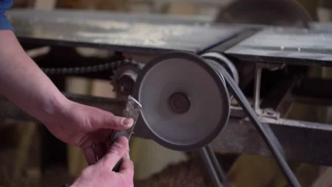 Sharpening of the working tool for a tree Stock Footage 152402690