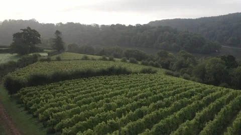 Sharpham Estate Totnes Devon Stock Footage 146843247