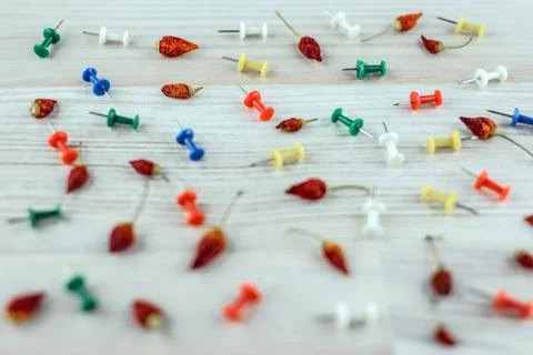 Sharpness - background: Acute dried chili peppers and spicy mult Stock Photos