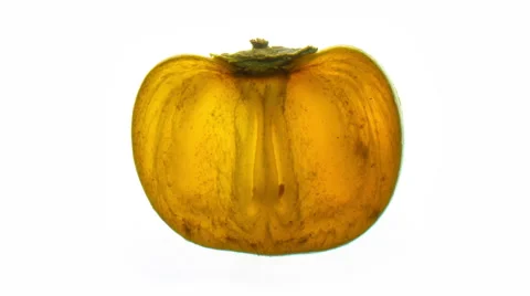 Sharron 1 - time lapse a slice of fruit drying over a number of days Stock Footage 65011391