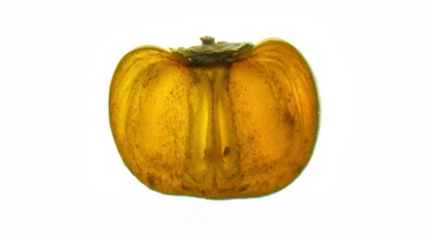 Sharron 1slice  - time lapse drying out over a white back ground Stock Footage 65225490