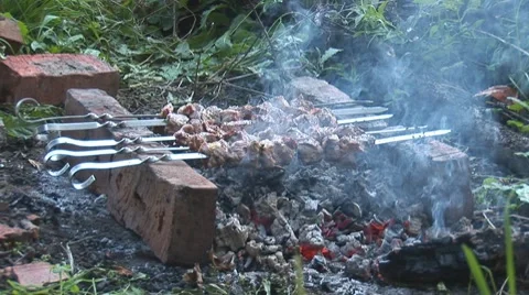 Shashlik 1 Video stock 8518655