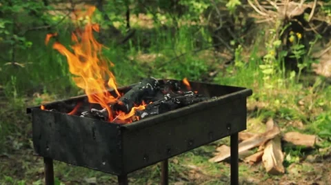 Shashlik 2 Stock Footage 11021576