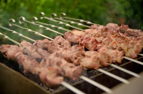 Shashlik on the BBQ Stock Photos
