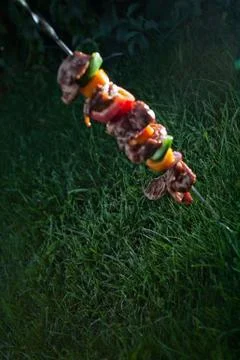 Shashlik On The Grass Stock Photos