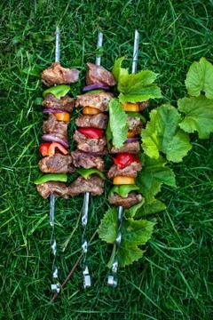 Shashlik On The Grass Stock Photos