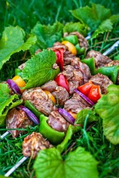 Shashlik On The Grass Stock Photos