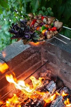Shashlik On The Grass Stock Photos