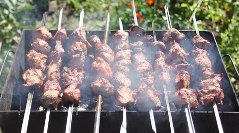 Shashlik In Grill Video stock 8659432