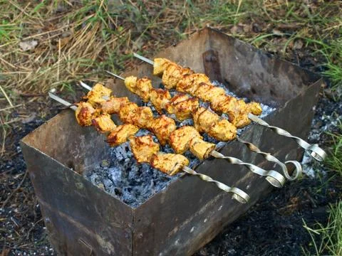 Shashlik. Stock Photos