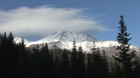 Shasta 스톡 동영상 8919771