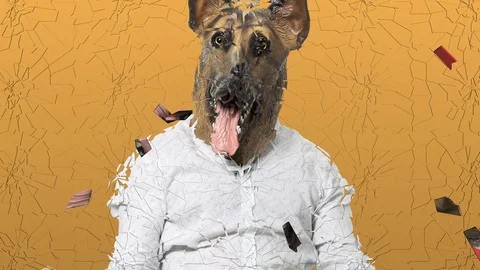 Shattered Glass Effect on Portrait of Man in Dog Mask Stock Footage 112722308