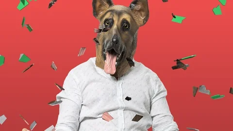 Shattered Glass Effect on Portrait of Man in Dog Mask 2 Stock Footage 112727685