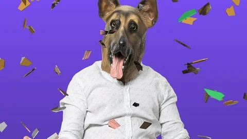 Shattered Glass Effect on Portrait of Man in Dog Mask 2 Stock Footage 112728228