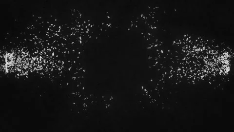 Shattered Word Performance. Explosion fractured loop animation. Alpha channel Stock Footage 265158617