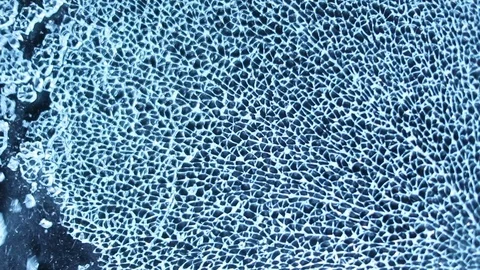 Shattering glass screen. Breaking and cracking screen on grunge background in Video stock 118671085